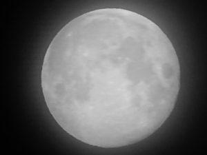 希星☆（きらり）23日満月フラワームーンかもめーる400枚 希星☆（きらり）23日満月フラワームーン様専用かもめーる400枚
